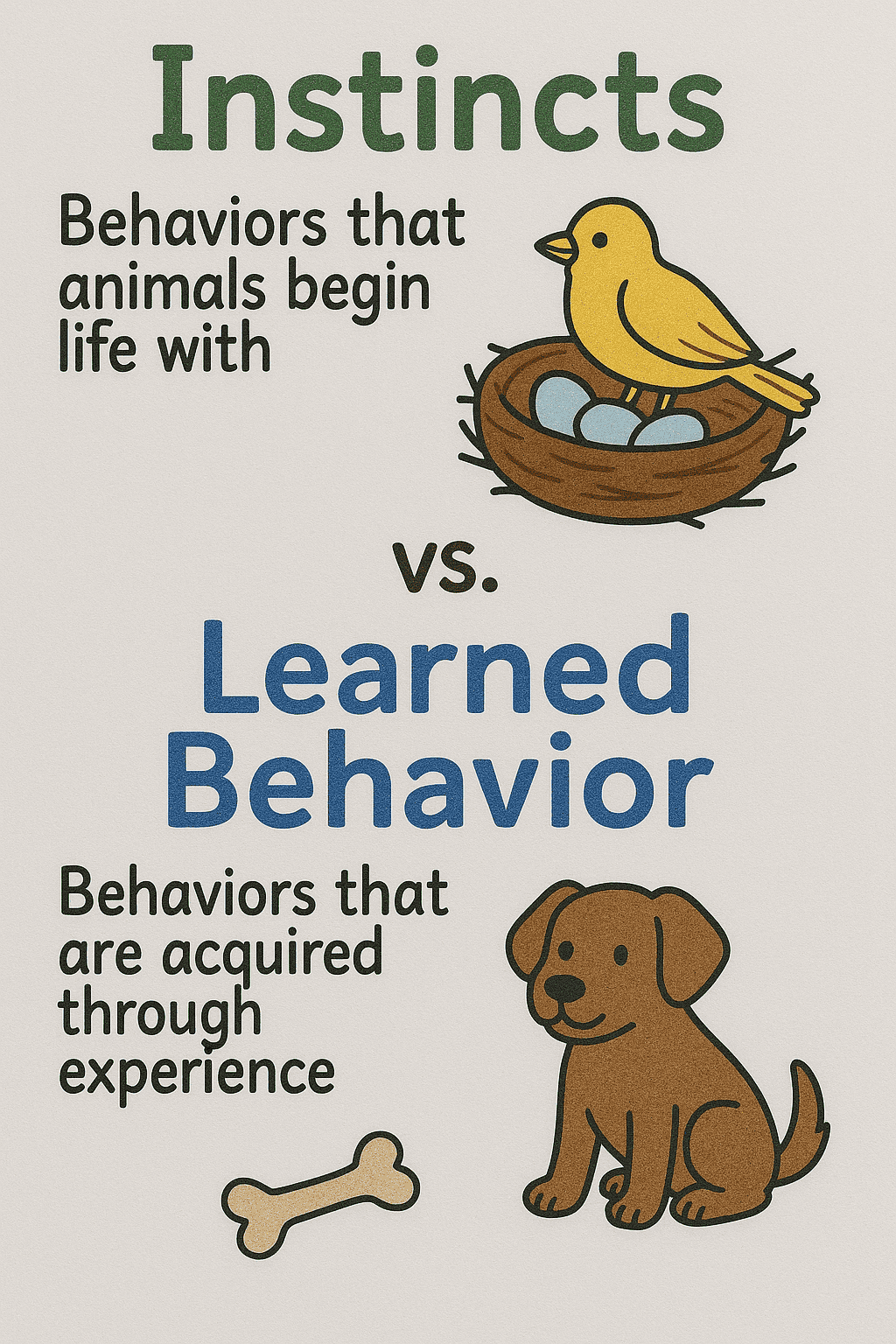 Instincts and learned behavior definitions, animal behavior, innate vs. acquired behaviors, educational infographic for biology, animal psychology principles, online course material from FSICourses.net.