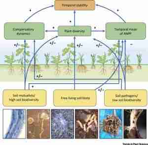GA Inspire Biology Unit 5 – Stability & Change in Ecosystems