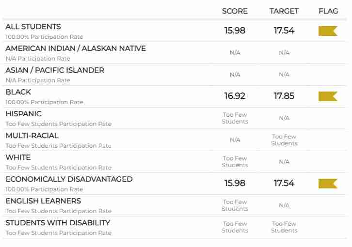 FSI Courses offering diverse language and competency training for various student groups, including English learners and students with disabilities. High engagement and tailored programs for all students.