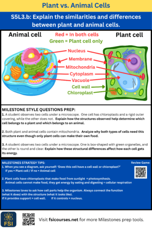 FSI 5th Grade Georgia Science Anchor Charts